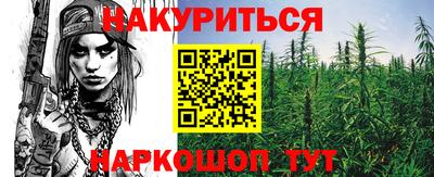 сатива Моздок