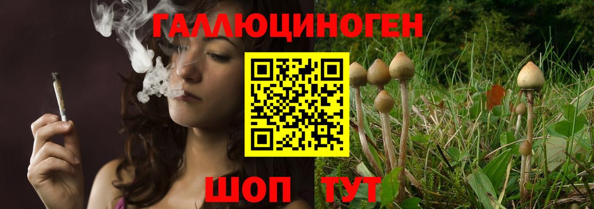где продают   Псилоцибиновые грибы прущие грибы  Вход с VPN  Верхняя Пышма 