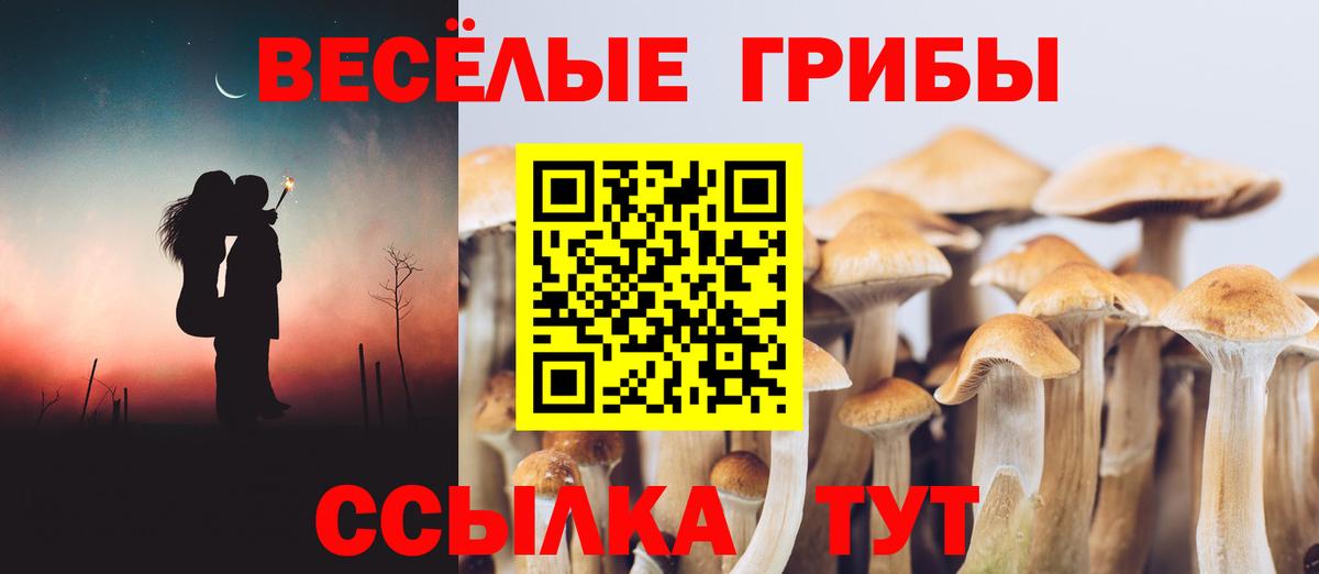 МАРИХУАНА Верхняя Пышма