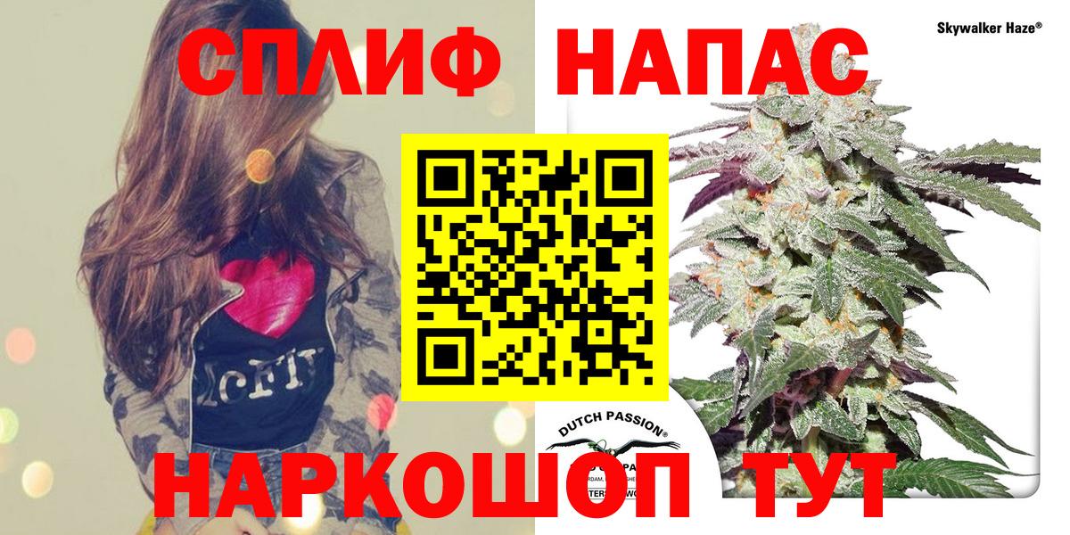 Марихуана план Верхняя Пышма